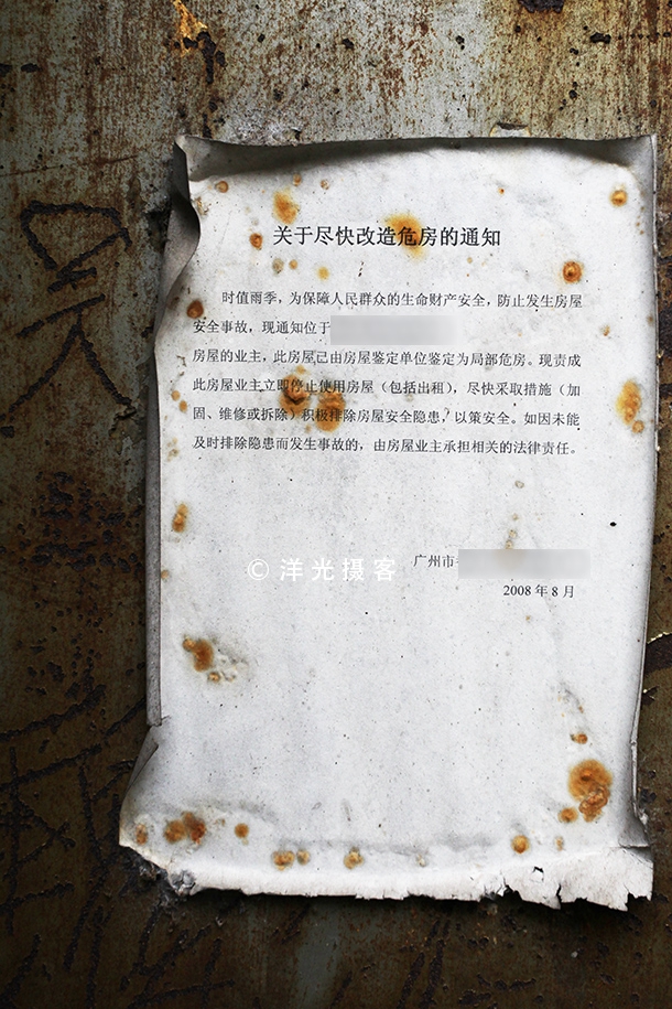 榕树不容人容人不榕树是什么意思,为什么有榕树不容人的说法