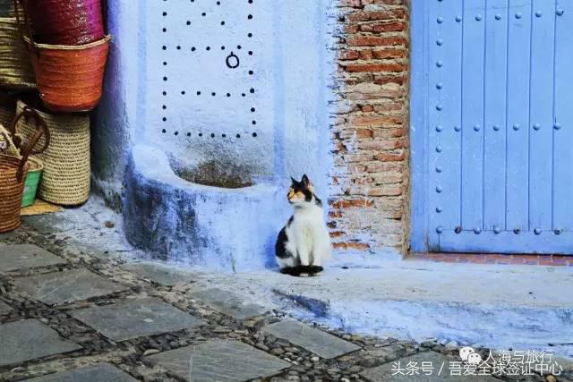 摩洛哥自由行全攻略 (最全的摩洛哥攻略)