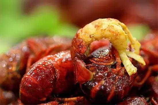 高记龙虾很火的苏州龙虾店,苏州龙虾店咸水龙虾