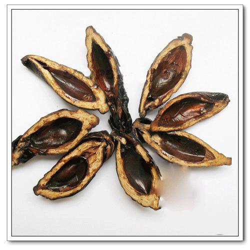 槟榔加酒快活似神仙,槟榔到底有啥秘密呢