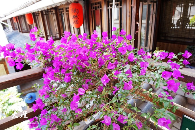 彩云以南，我们终于出发の我带着你，你带着钱！