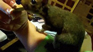 趣图搞笑,搞笑趣图