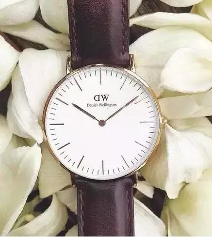 智能手表行业科普,dw手表属于热门还是冷门