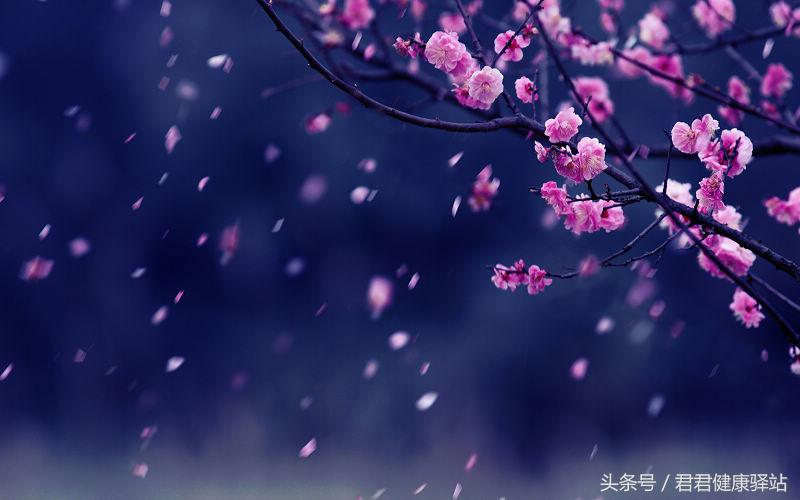 冷水洗头对身体有什么伤害？