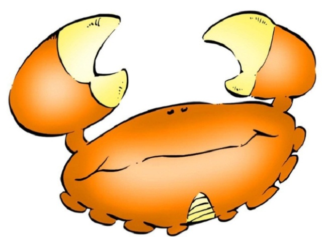 十二星座多少个小时的记忆,记忆十二星座方法