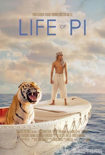 推荐十部关于人与动物的电影,值得一看的动物题材电影