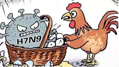 为*制抵**“乐天”，对韩系车动手了？这个黑锅我们不背！