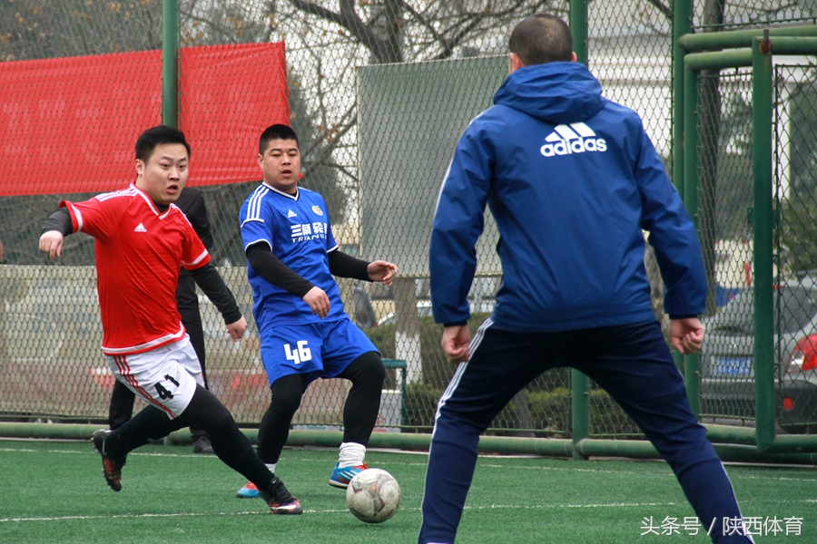 植树节以儿子的名义种下一棵树,2020的植树节在心里种下一棵树