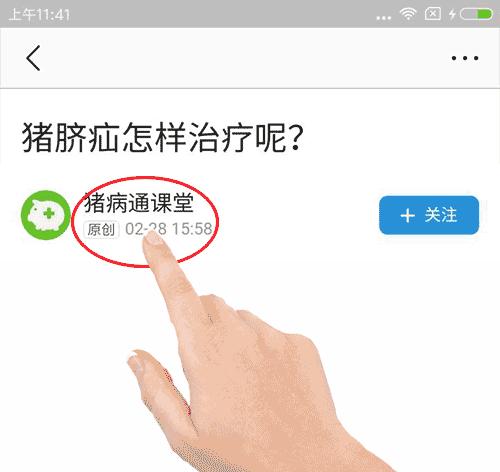 母猪蹄肿有脓咋治,母猪口蹄病最佳治疗方法