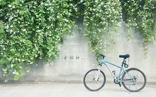 二战中的同济大学,二战上海是怎么样胜利的