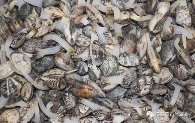 秦皇岛人吃螃蟹,秦皇岛海鲜什么时候吃最好