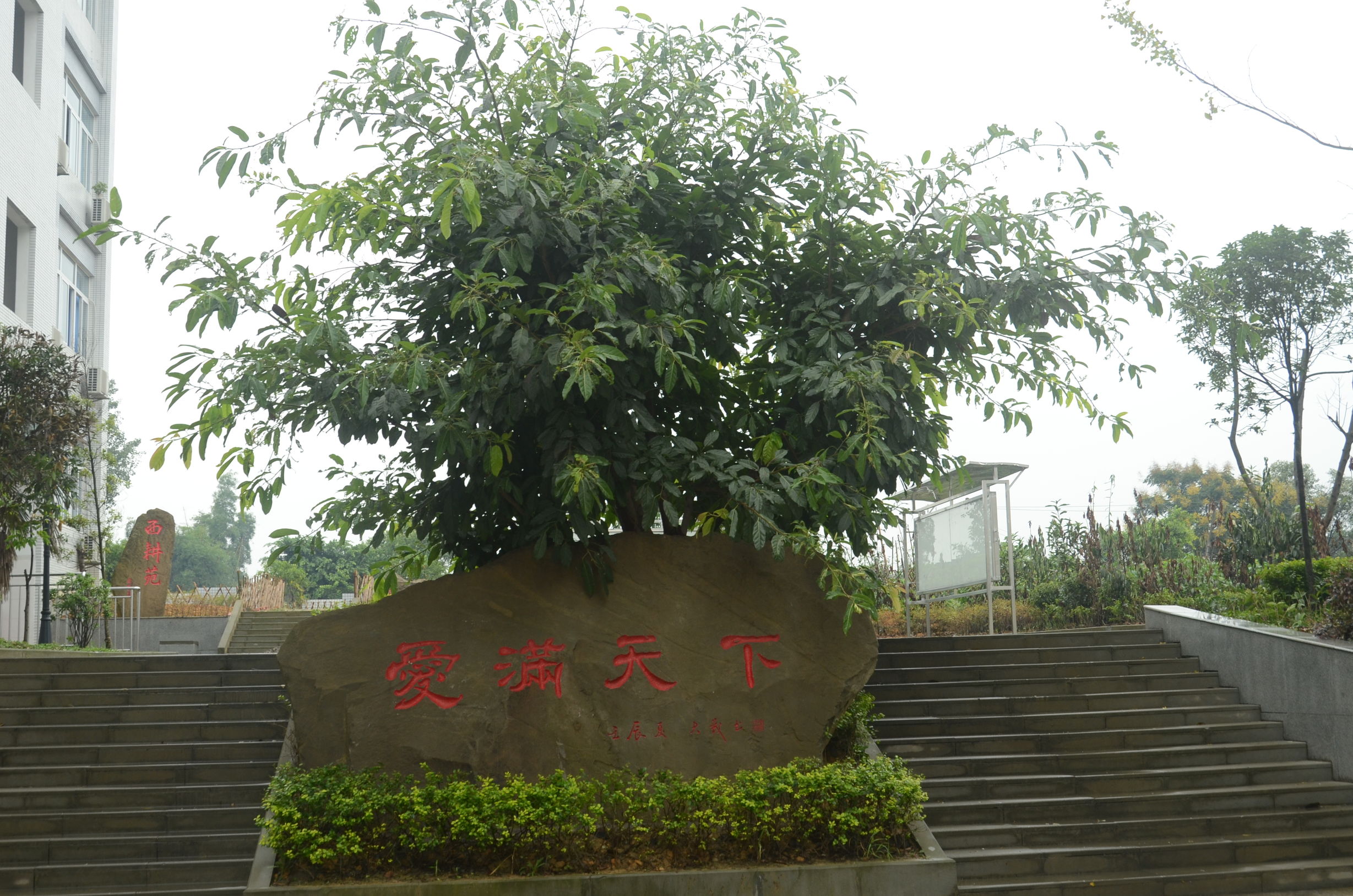 隆昌县大北街小学,大北小学