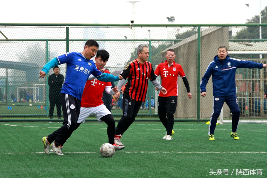 植树节种下一棵树守护一方水土,2020的植树节在心里种下一棵树