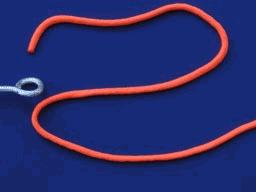 以前钓鱼的老鱼线绑法,九种钓鱼绑线方法动图示范