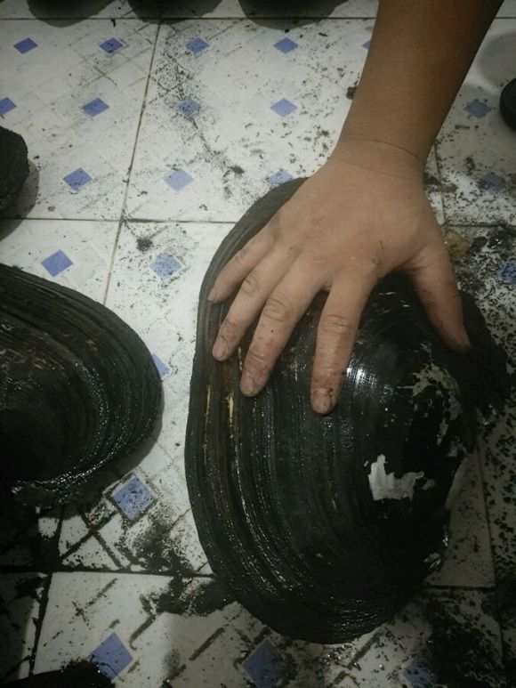 钓鱼又空军了,钓鱼钓了一天又空军了