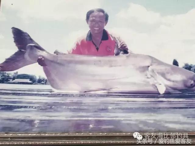 泰国巨骨舌鱼钓场位置,泰国钓鱼钓巨物位置