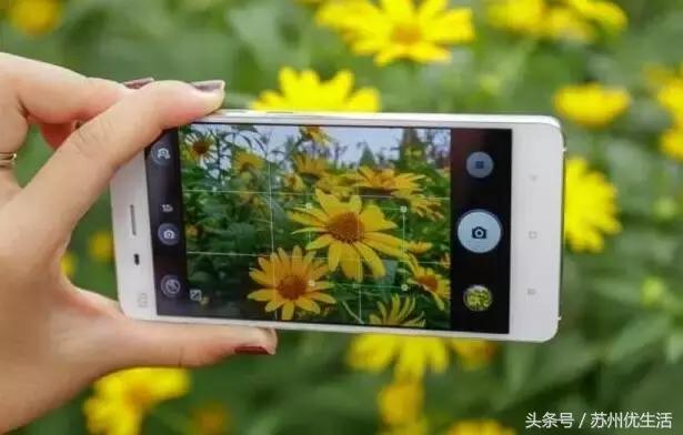 清明小长假出行这份攻略请收好,清明三天小长假去哪里玩呢