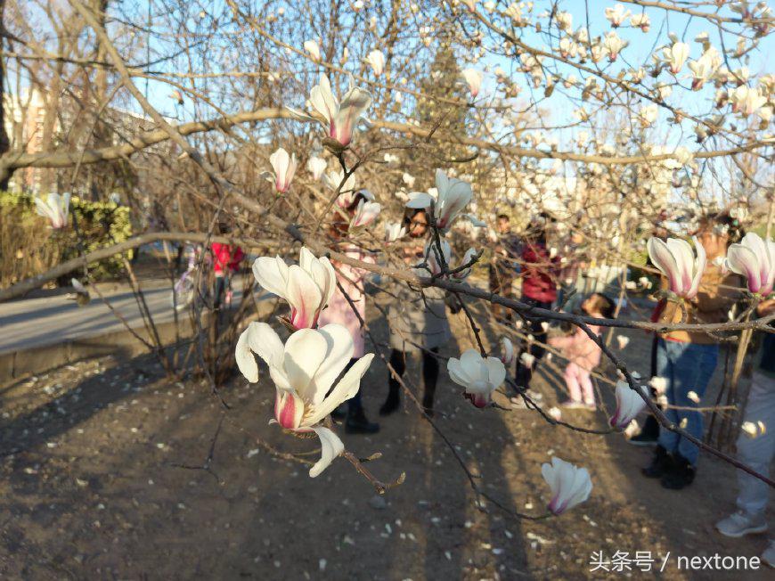 htcuultra值得买吗,htcultra音质