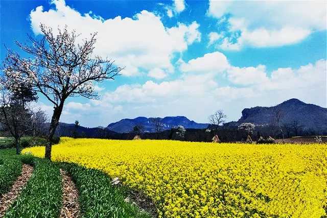 远安马拉松全马路线,远安马拉松全马参赛人数