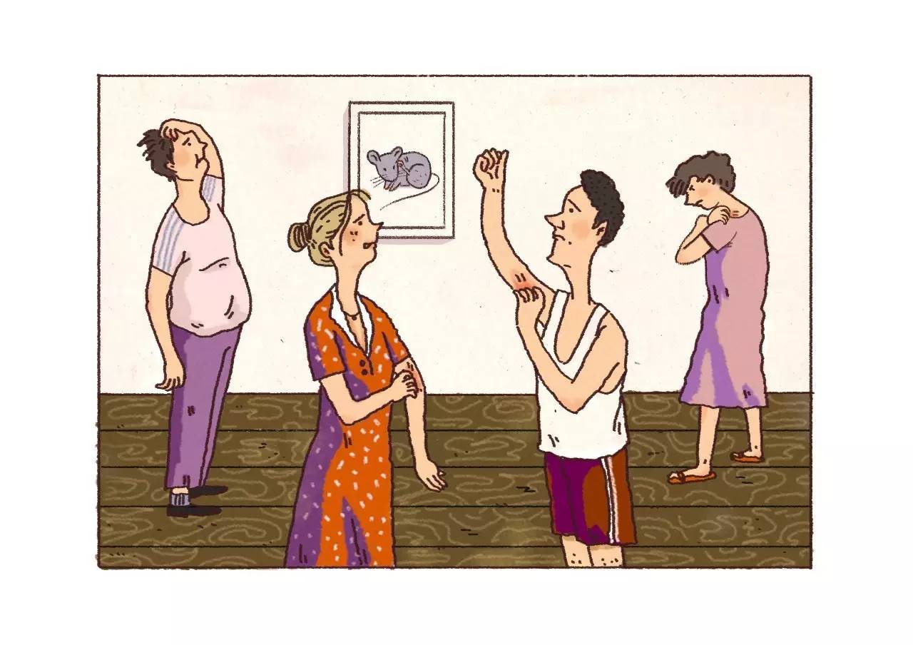 小鼠挠痒正常吗,小鼠挠痒是怎么回事