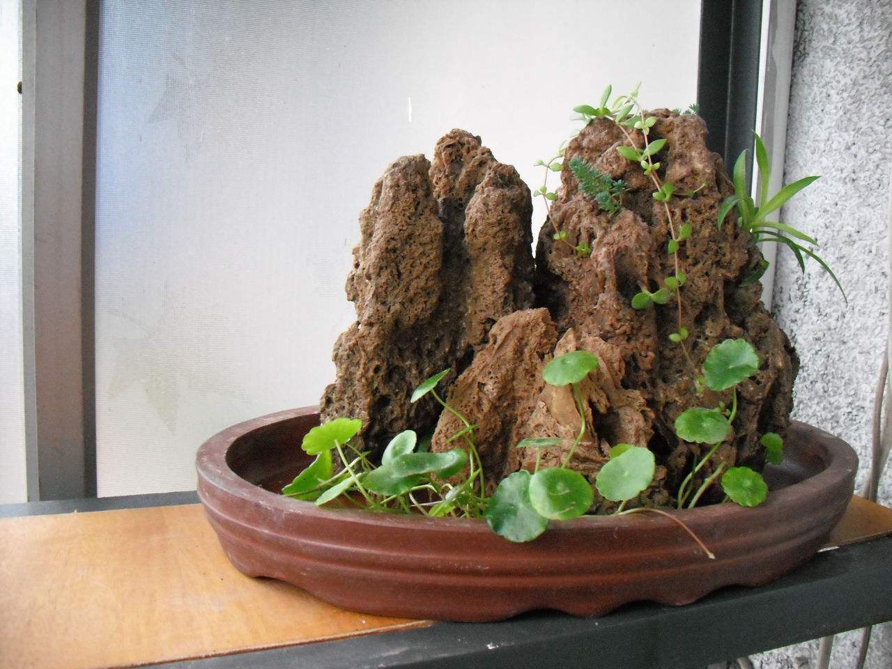 何年石上水，夜夜滴高层——再谈“上水石”