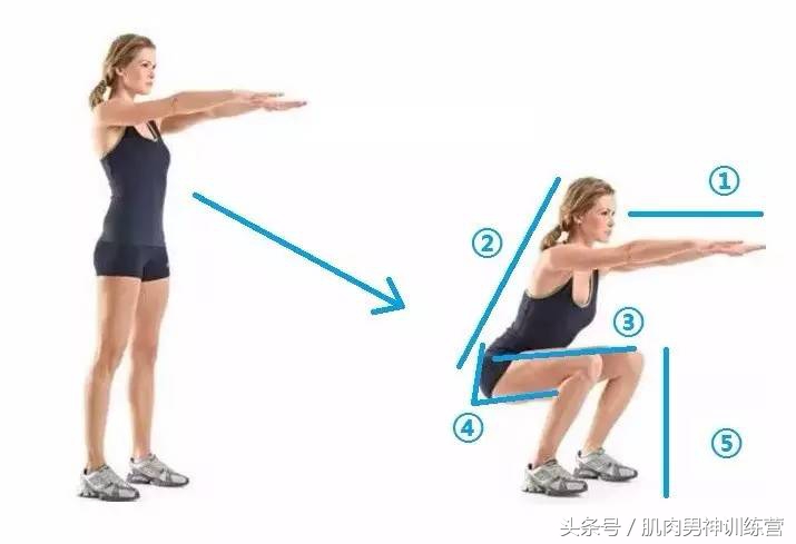 深蹲的正确方法,深蹲的正确姿势及好处