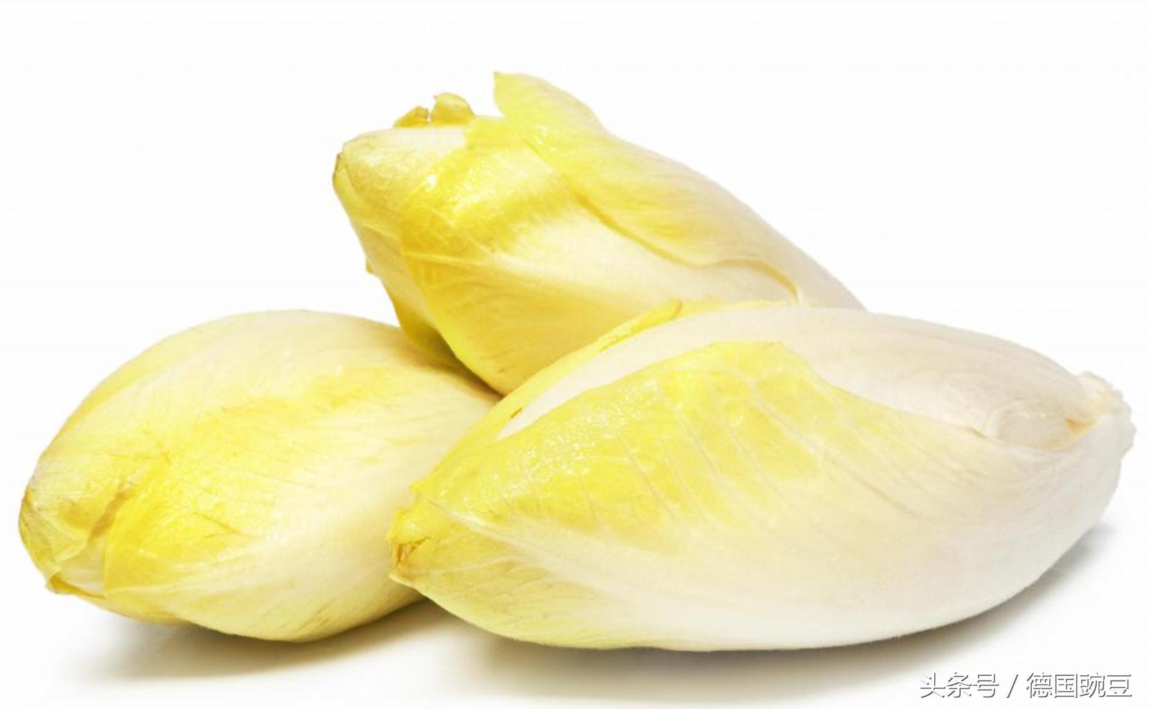 绿叶蔬菜菊苣,菊苣是一种很少见的蔬菜