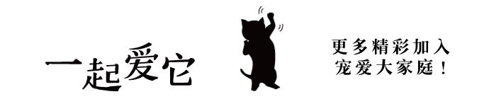 养宠小知识狗狗突然分泌很多口水,宠狗知识