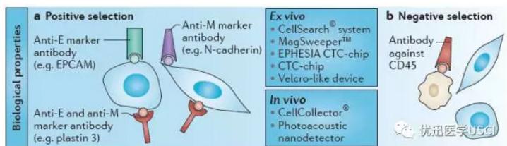 液态活检ctc怎么做,活检是ctc吗