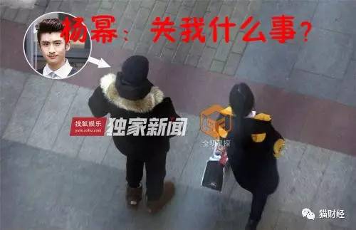 杨幂的公司股份有多少,杨幂股份是怎么被稀释的