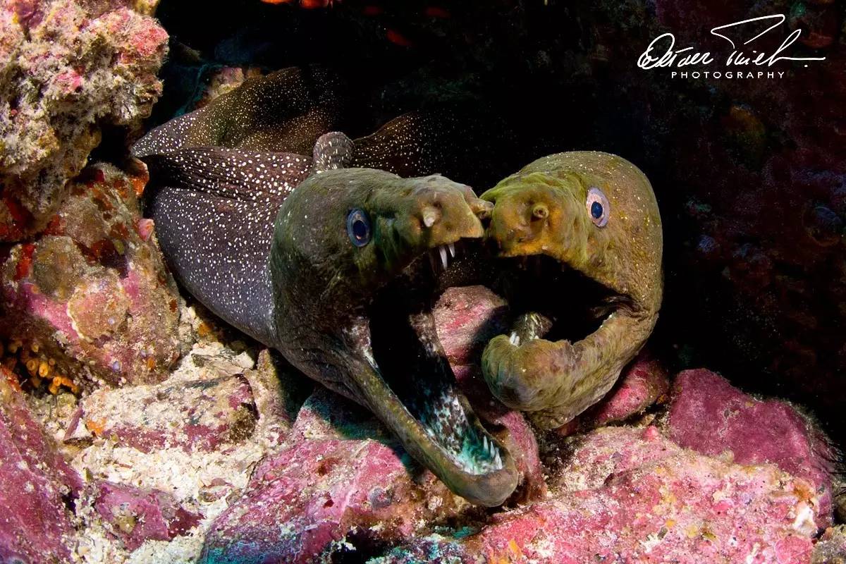 自由摄影师怎么挣钱,摄影师这行真的不挣钱吗