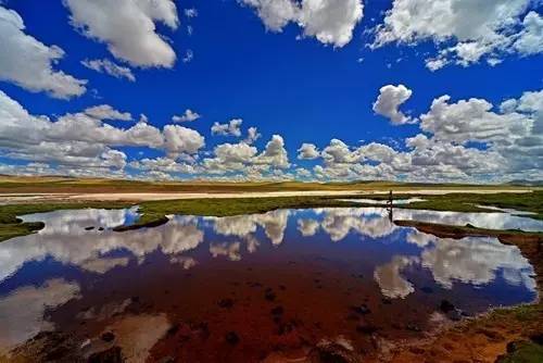 1949-2017｜民主的脚步，珍贵的声音