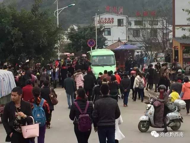 贵州万峰林油菜花怎么玩,贵州万峰林最美油菜花视频