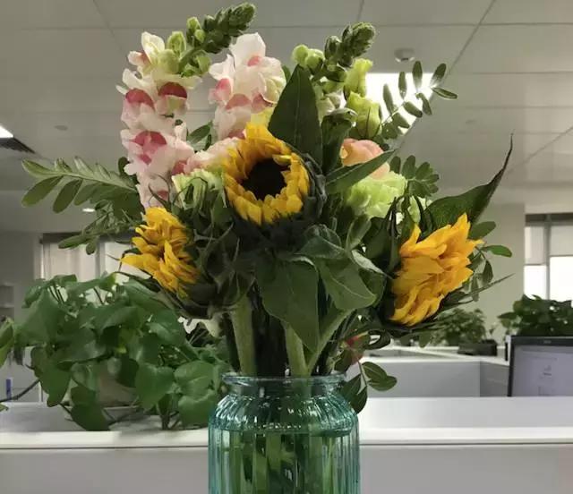 我们用1000元的教训告诉你:包月鲜花全是坑!一家都不推荐!