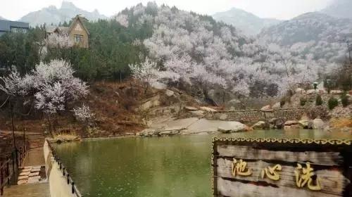 定个小目标100天,定个小目标完整版