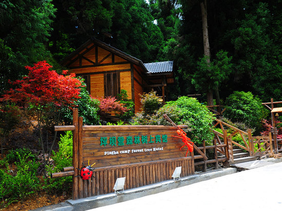 恩施森林旅游,恩施咸丰坪坝营旅游景点