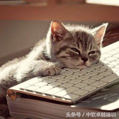 java学到什么程度可以找工作,java要学到什么程度才可以找工作