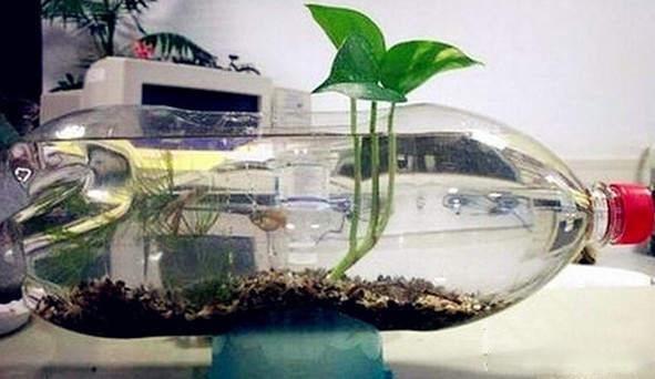 如何用塑料瓶做花盆图解,怎么用塑料瓶做花盆图解