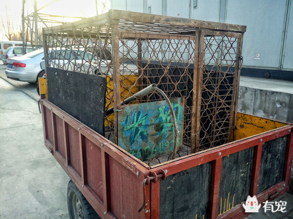 鐙楀競鎺㈣ (鎺㈣鐙楀競)