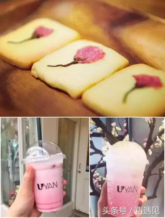 樱花季攻略完整版,樱花上海攻略