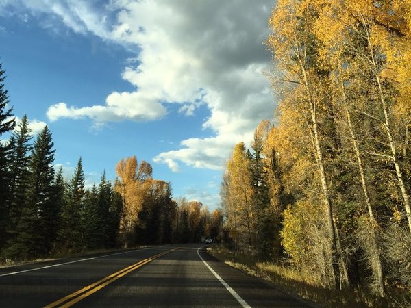 随手一拍都是美景美国大农村,英国随手一拍都是风景