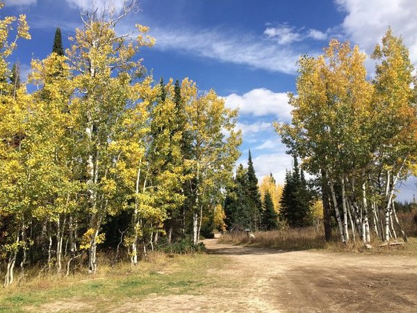 随手一拍都是美景美国大农村,英国随手一拍都是风景
