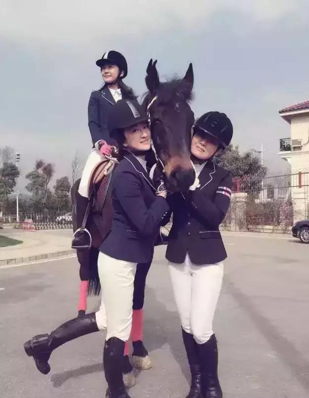 昆明二龙湖御龙马术俱乐部,贵阳市马术俱乐部