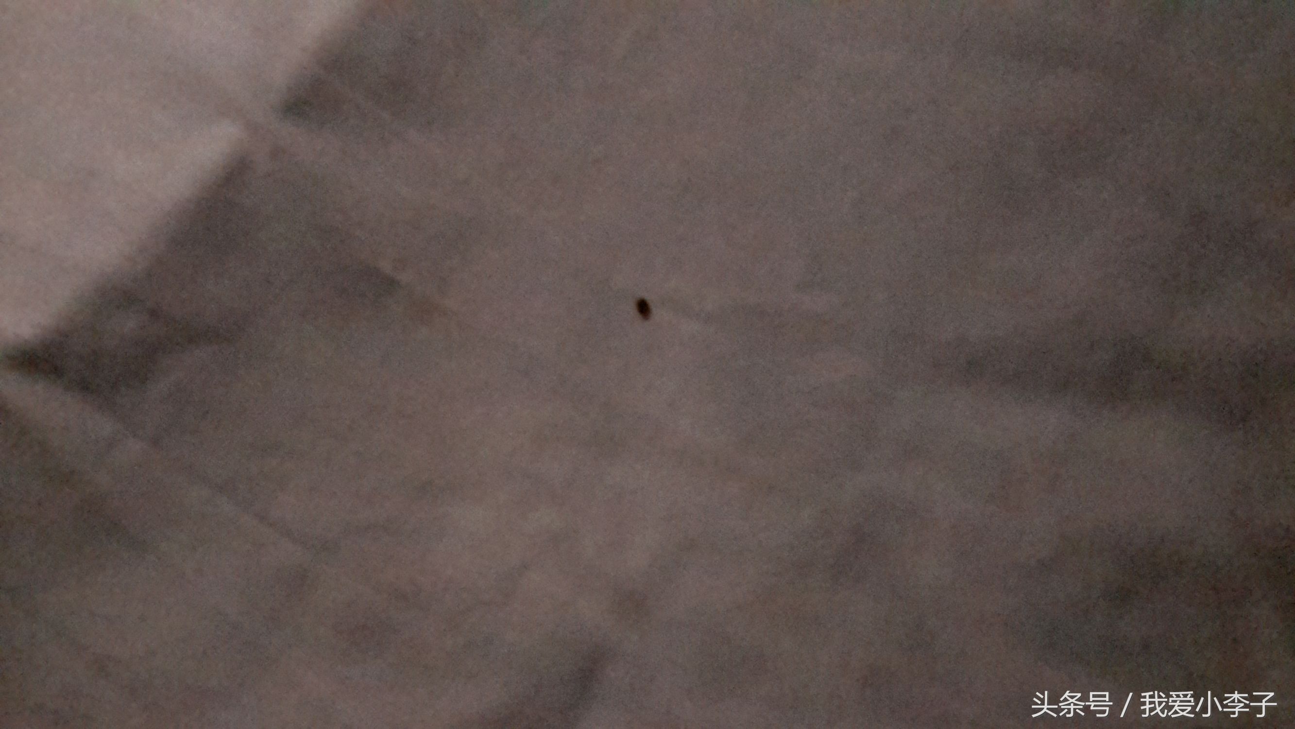 越南旅游住民宿和旅馆区别,越南旅游住公寓酒店怎么样