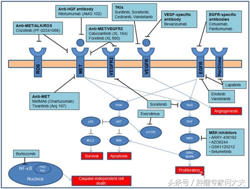 癌症治疗西医和中医治愈比例,癌症治疗有哪三种手段