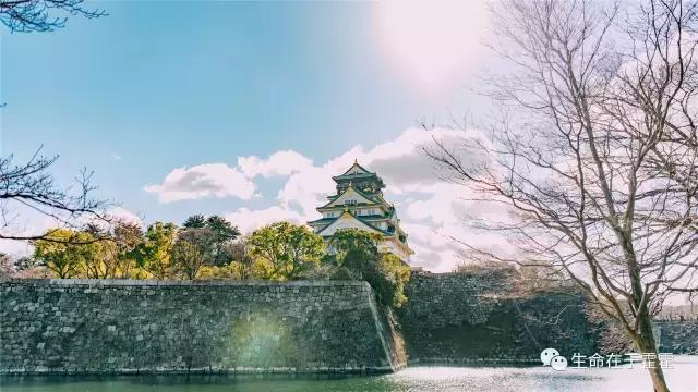 拉面 · 自动贩售机 · 雪｜云之彼岸的日本欢脱之旅