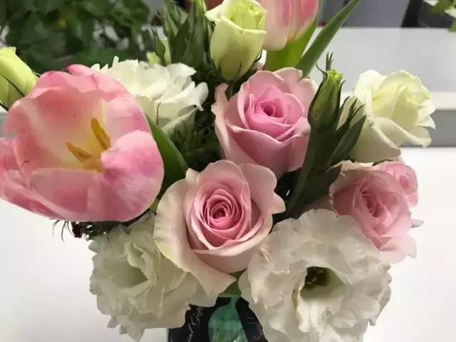 我们用1000元的教训告诉你:包月鲜花全是坑!一家都不推荐!