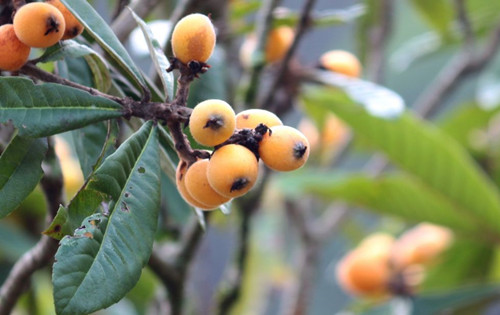 合肥房价跌幅排行榜,合肥二手房价格持续下跌