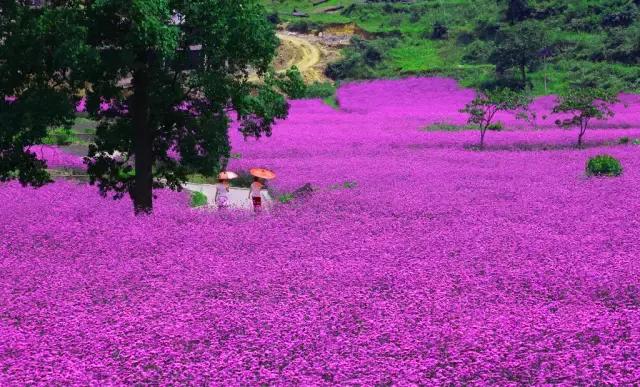 贵州最美“旅拍”地，堪比三亚和丽江！