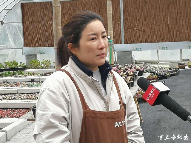 三星新款手机降价周期,韩货在中国滞销